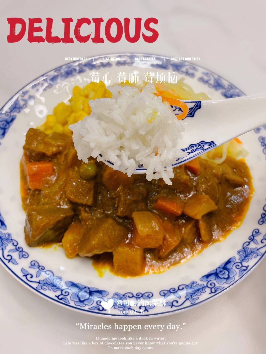 五常鲜米美食分享美味咖喱牛肉盖饭