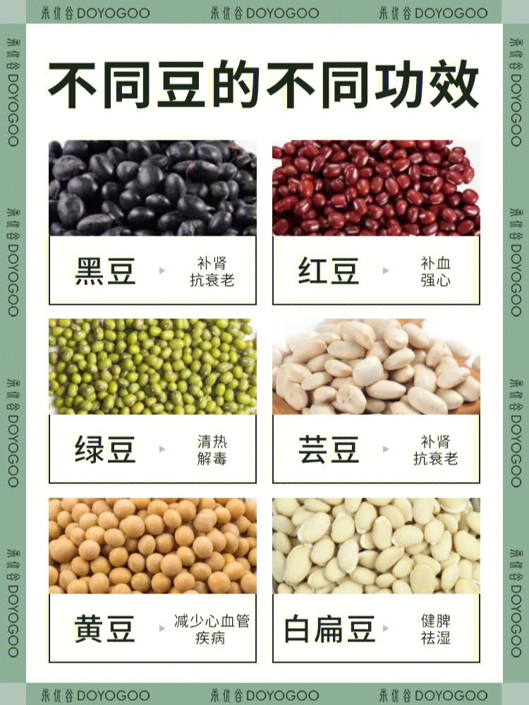 所有豆子品种名称图片图片