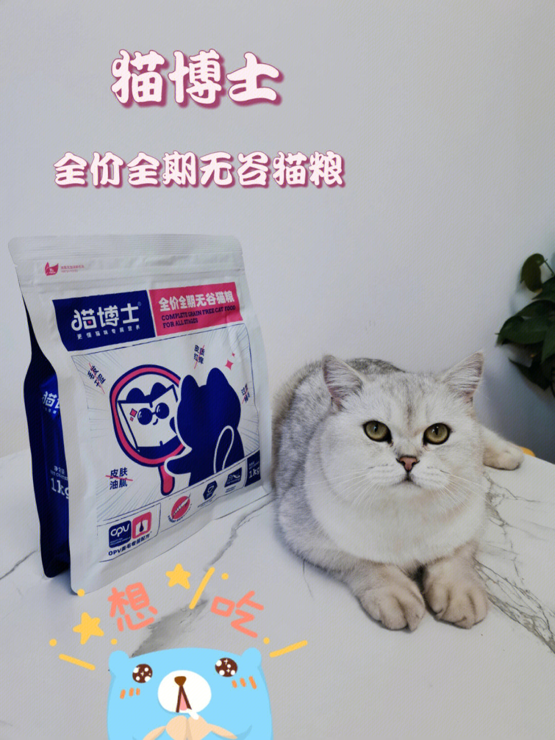 博士猫根癌灵图片