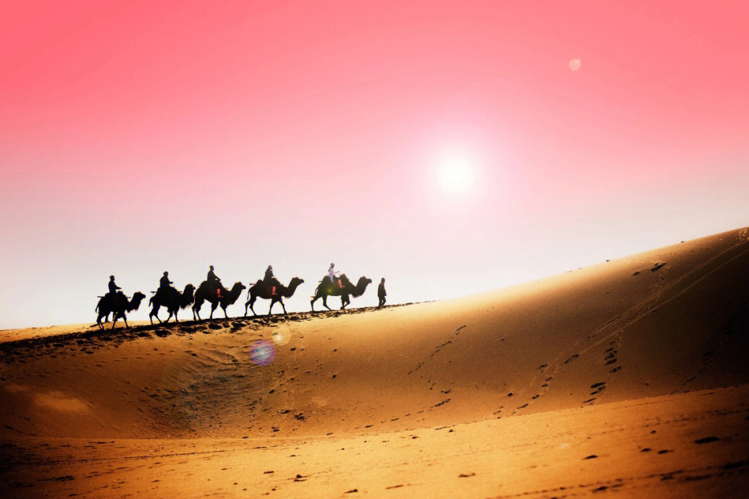 图1是00新疆鸣沙山沙漠驼铃,沙漠中的骆驼979797图2是97