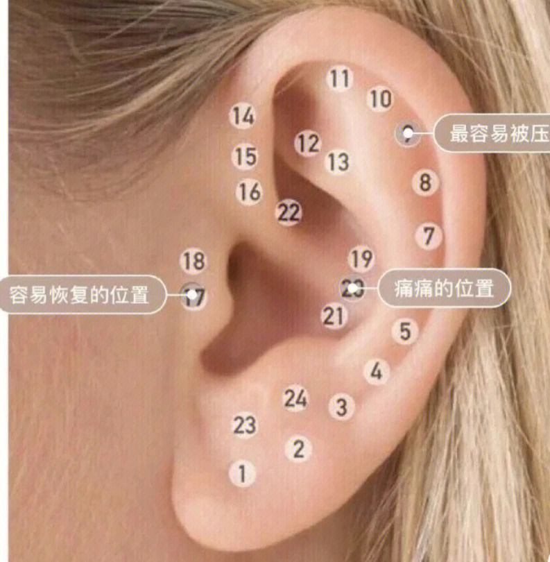 耳洞安全位置图图片