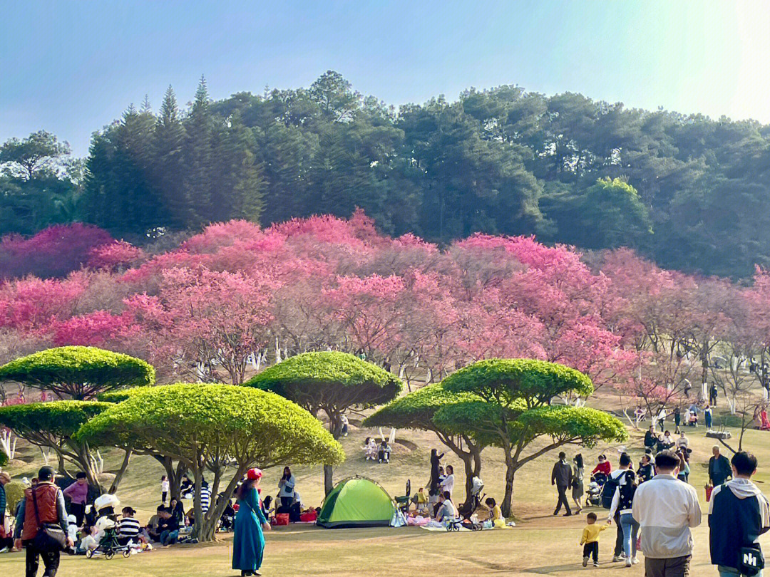 青秀区石门森林公园