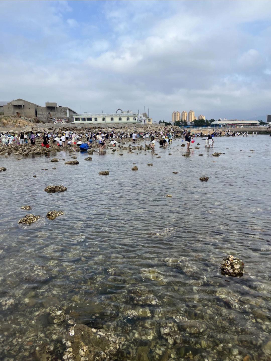 威海小石岛赶海公园图片