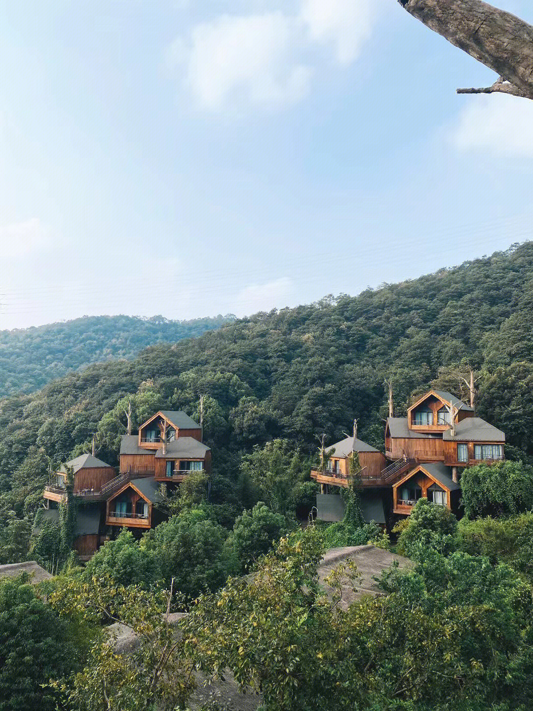 小朋友们都很开心09森泊度假酒店一家在莫干山,一家在杭州的萧山区