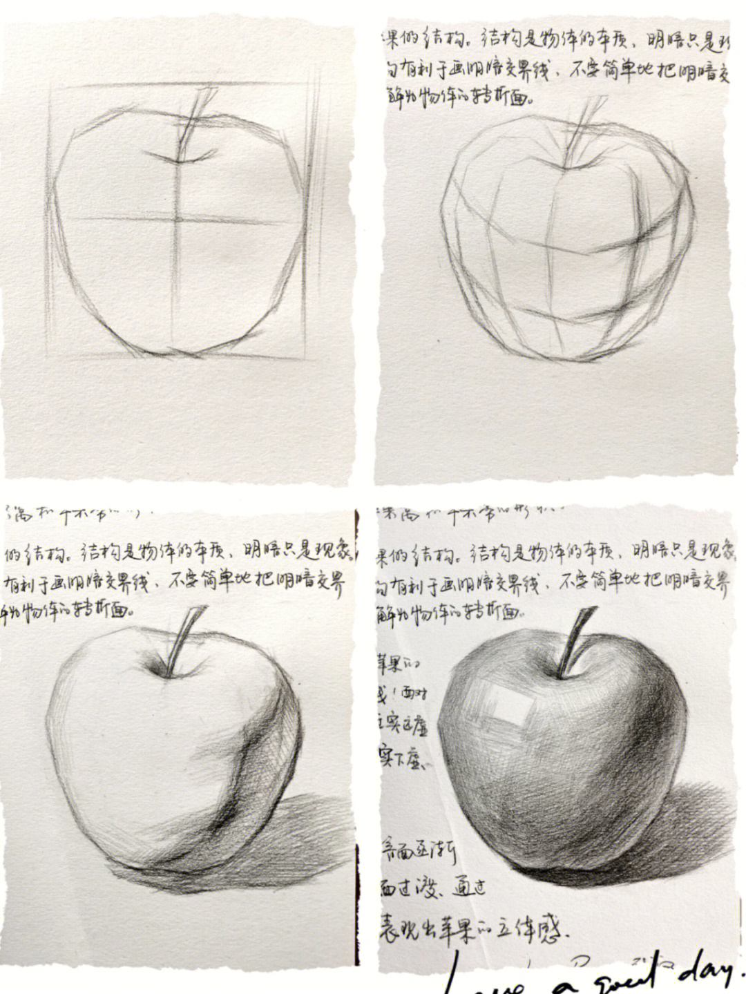 初学者苹果素描步骤图片