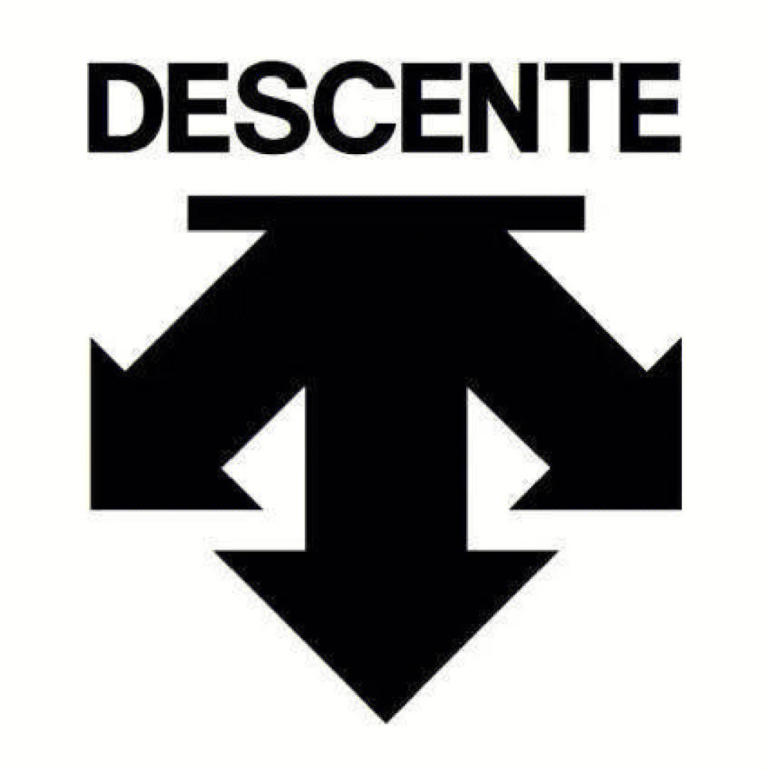 迪桑特logo有几种图片