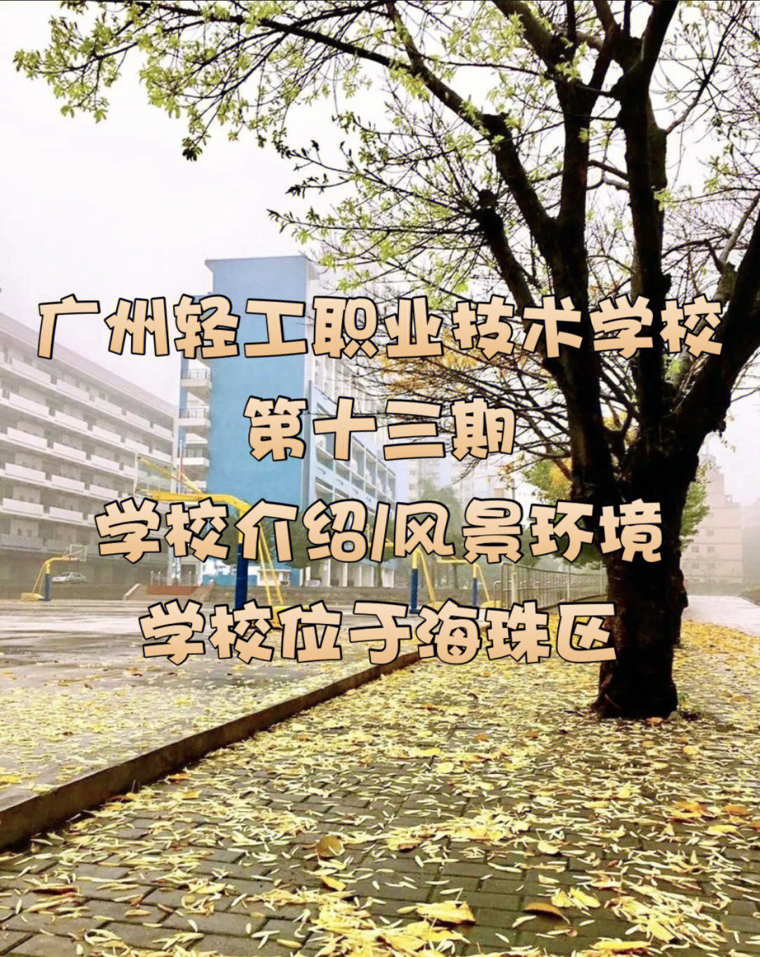 广州3b学校排名_广东3b学校排名2014_广东最好的3b学校排名