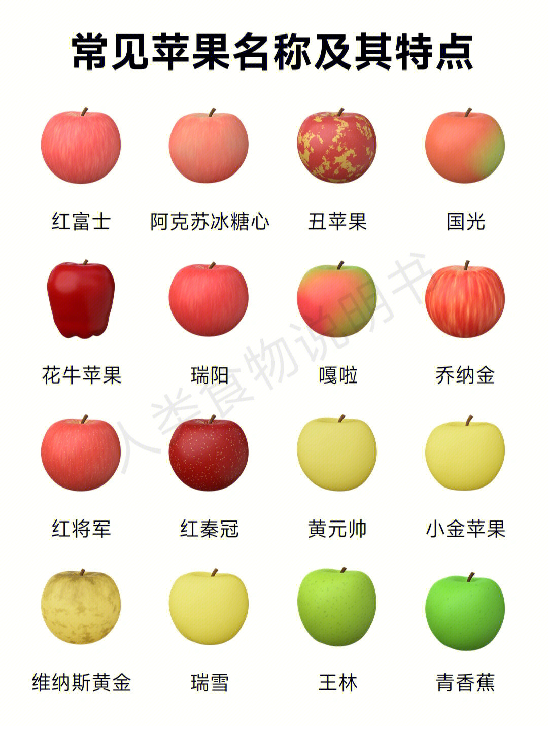 苹果种类 品种图片