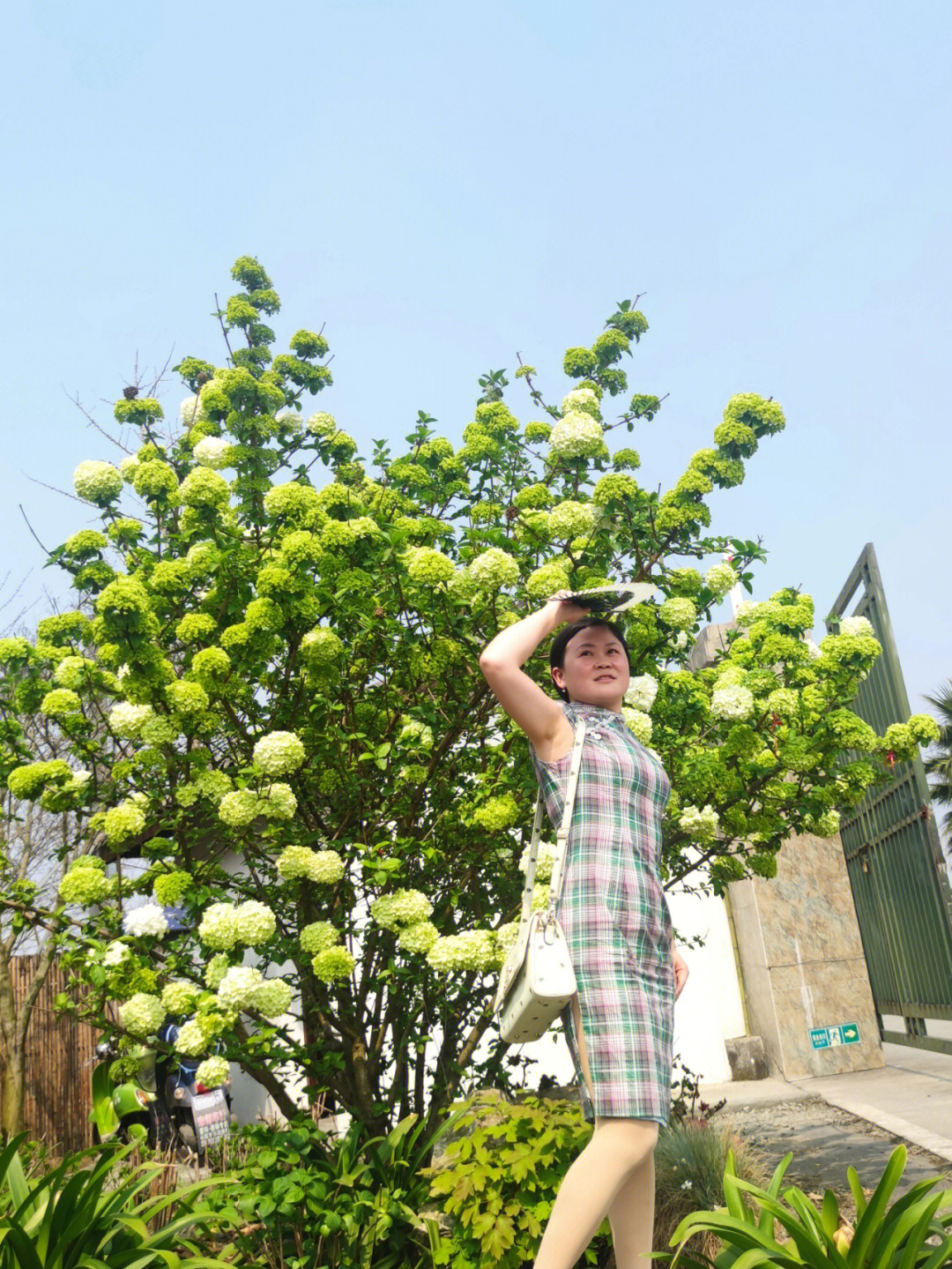 温江万花拾景园美篇图片