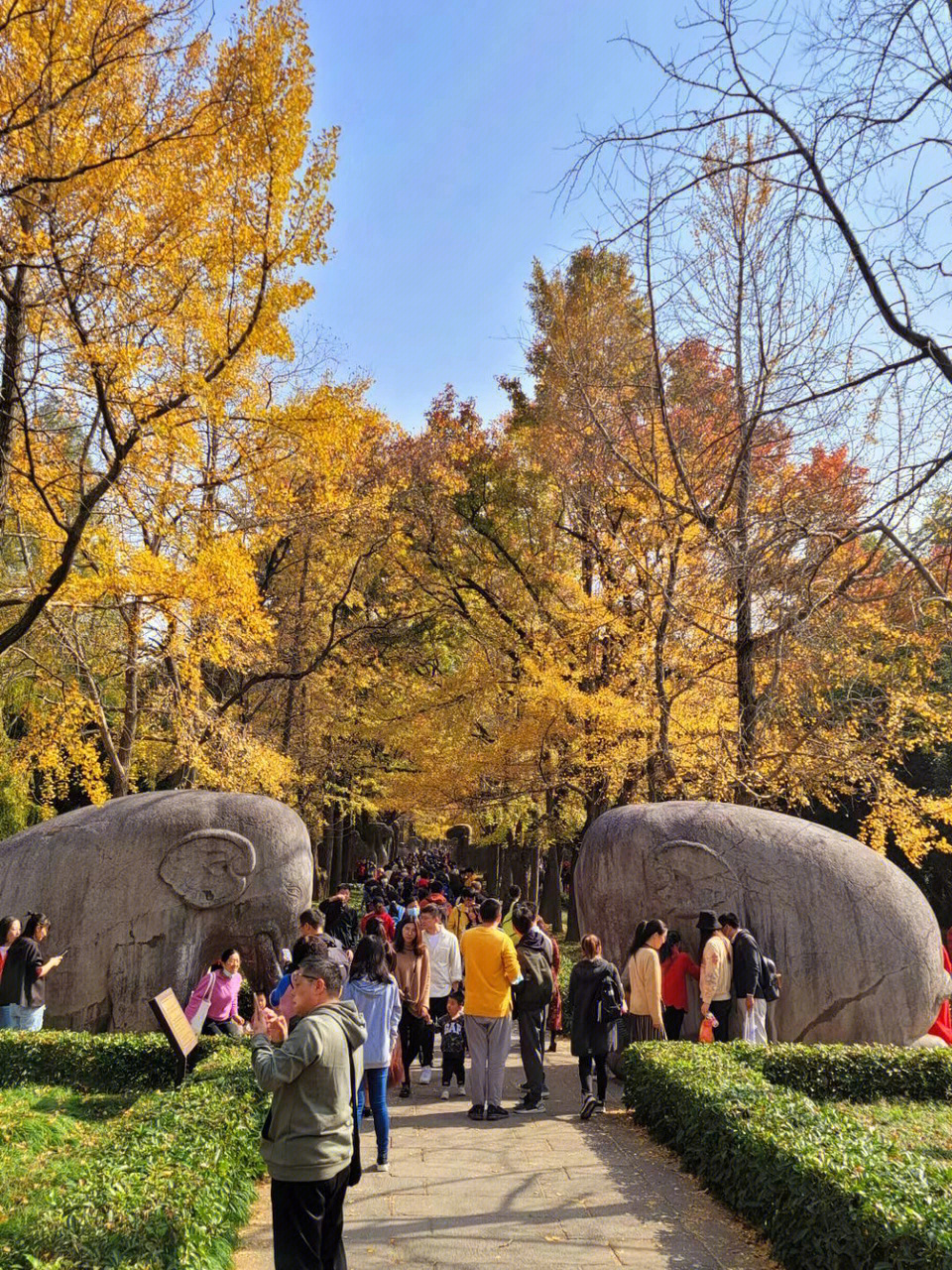 南京钟山风景区