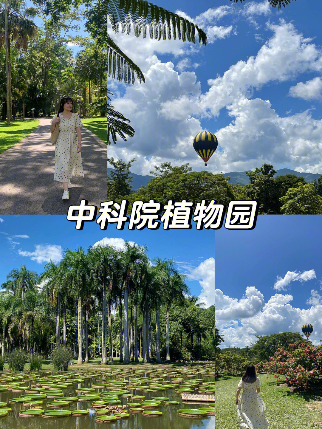 西双版纳中科院植物园