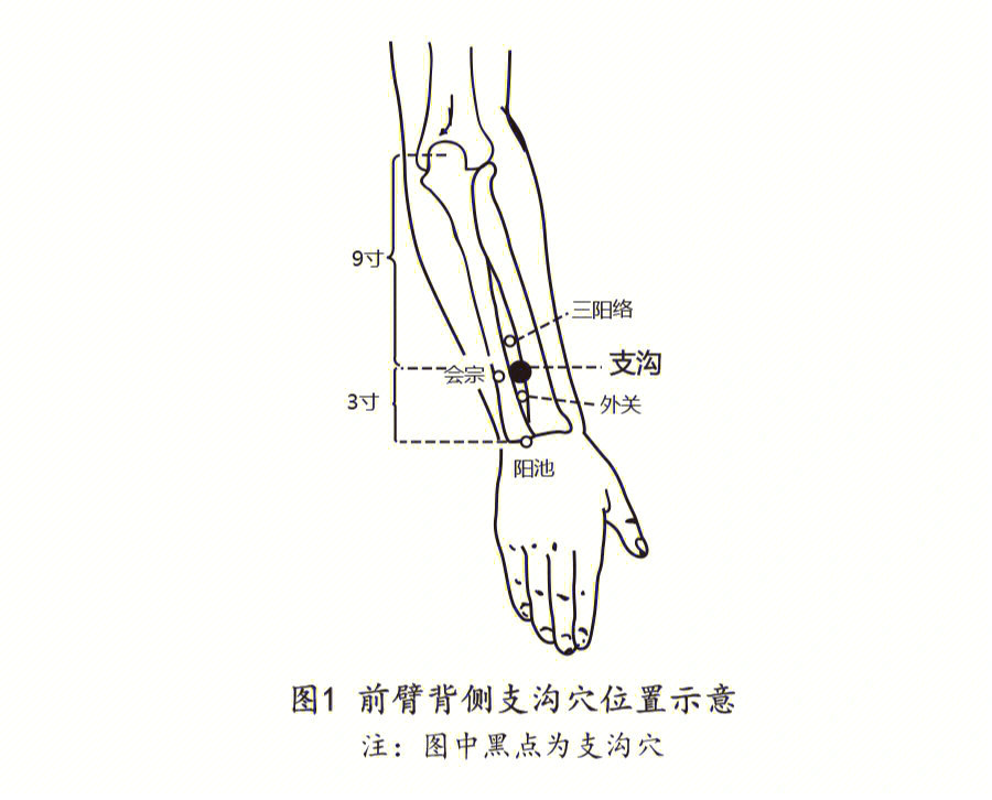 照海准确位置图和作用图片