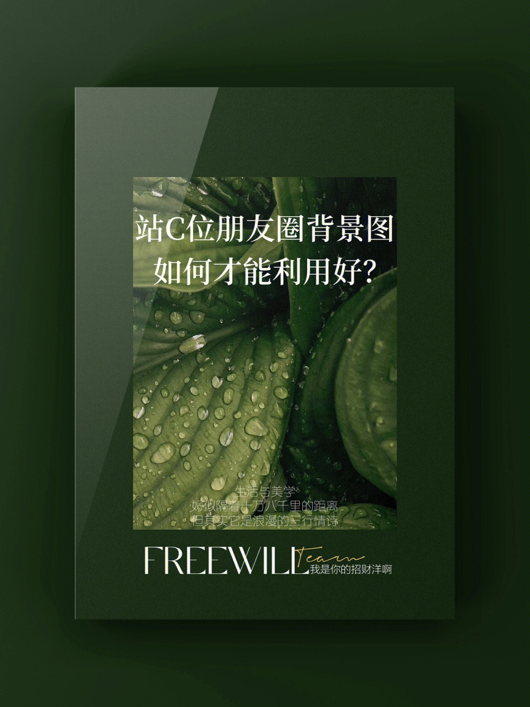 站在c位的朋友圈背景图如何才能利用好