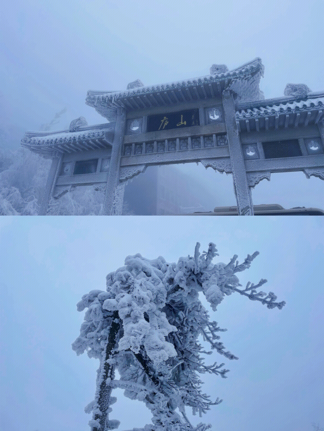 庐山花径雪景图片