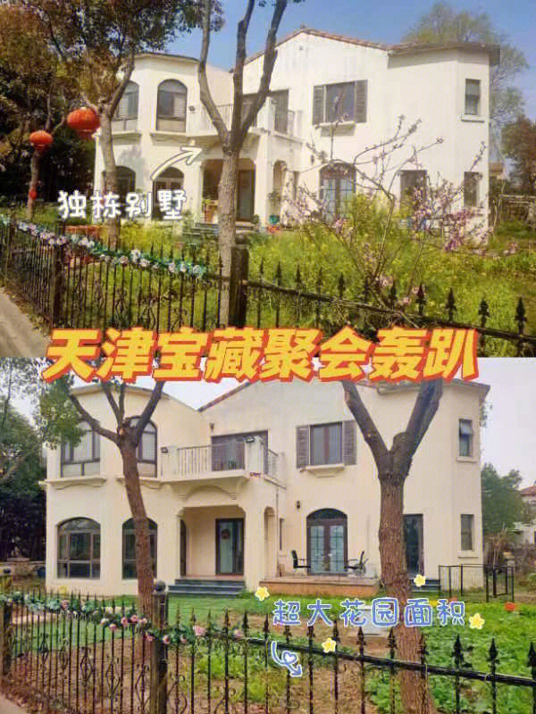 天津兴苑别墅图片