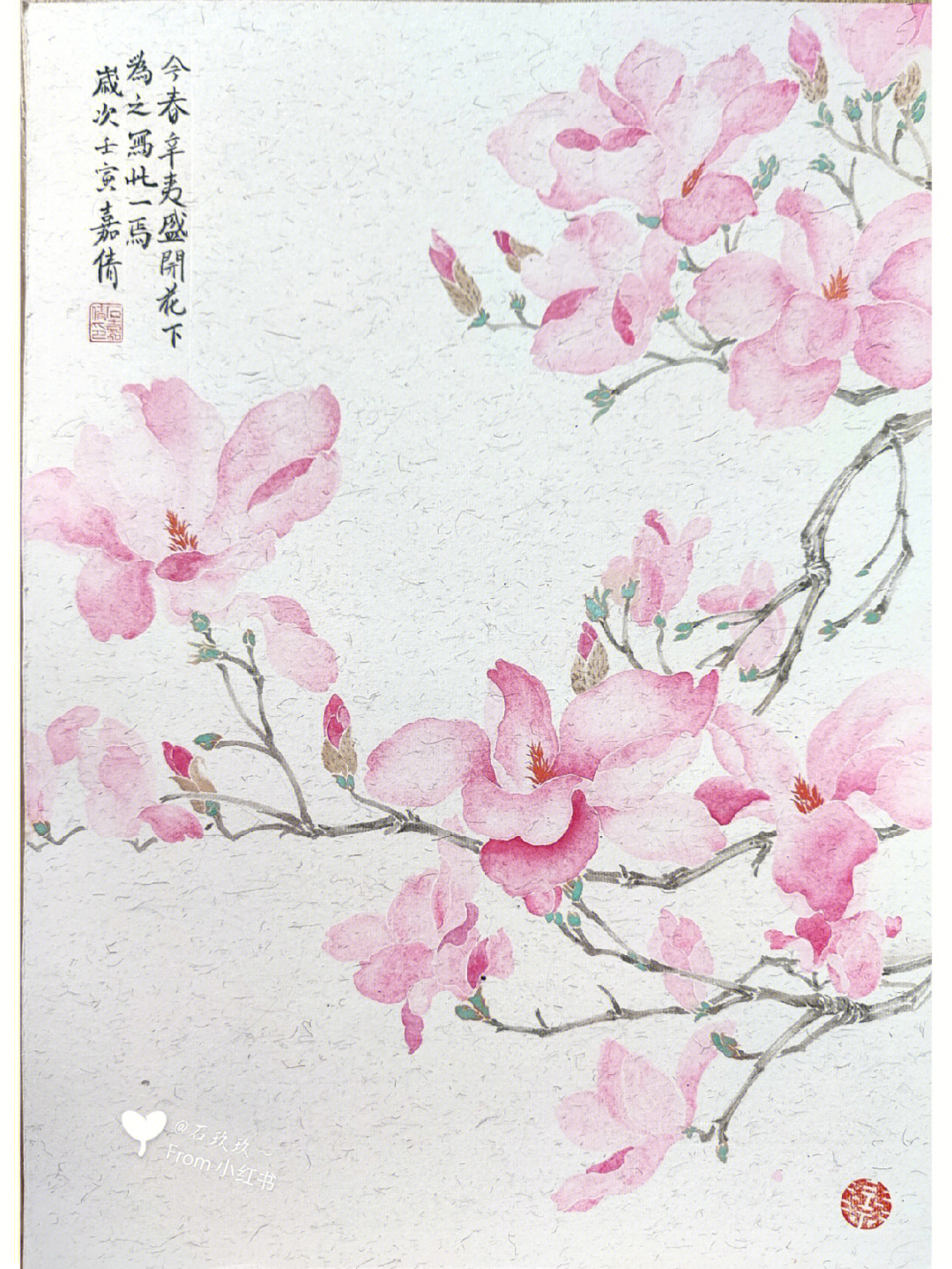 木兰花没骨画024