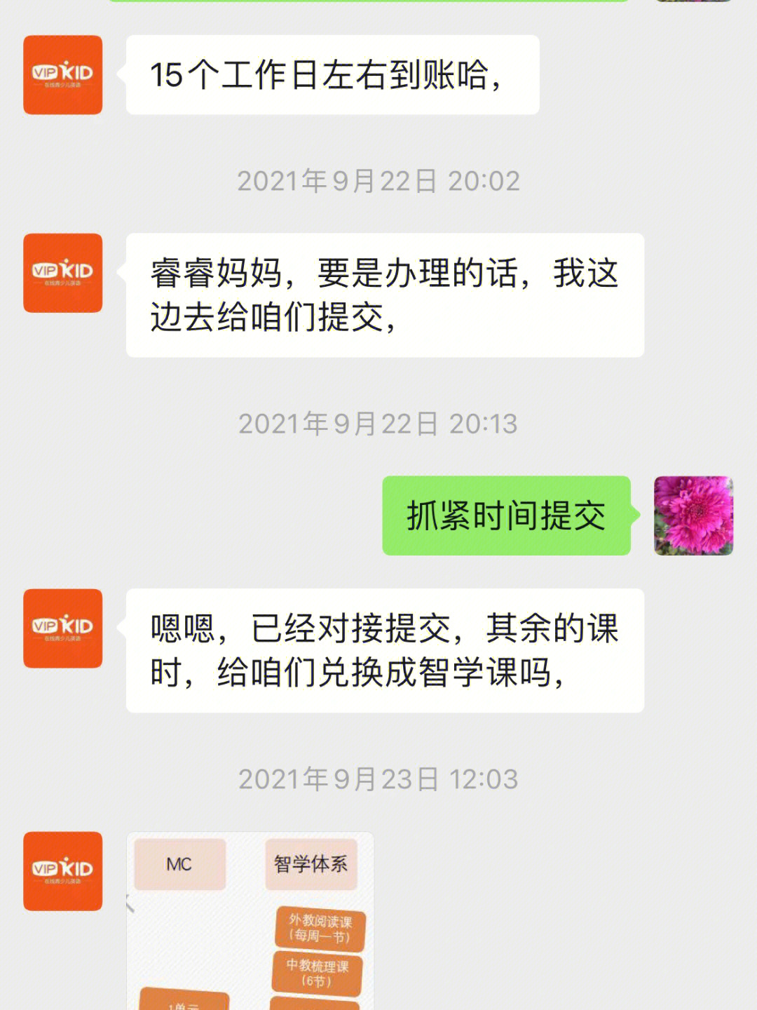 有在vipkid里购买外教课的宝妈们吗