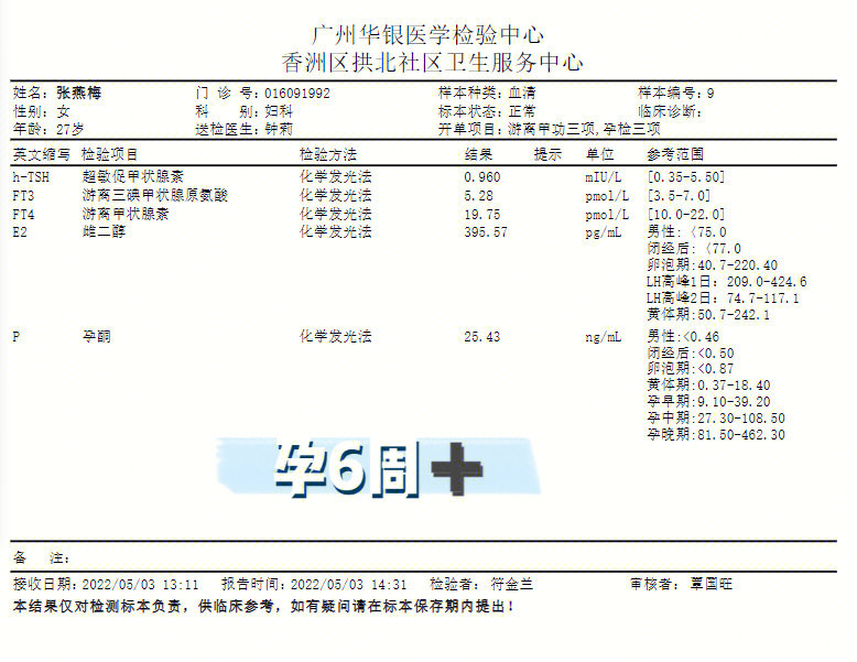 甲状腺素偏低图片