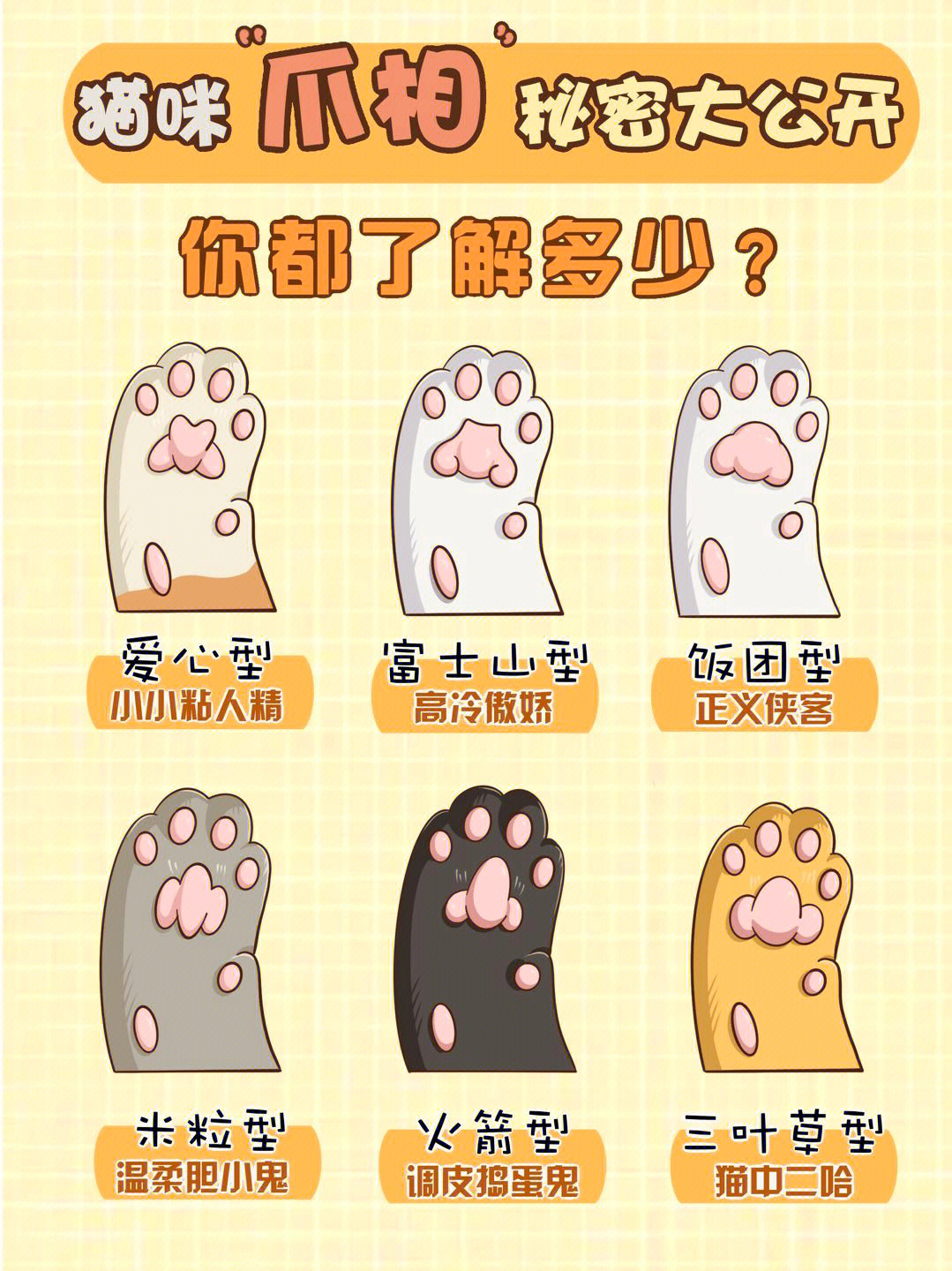 猫脚垫看性格图片