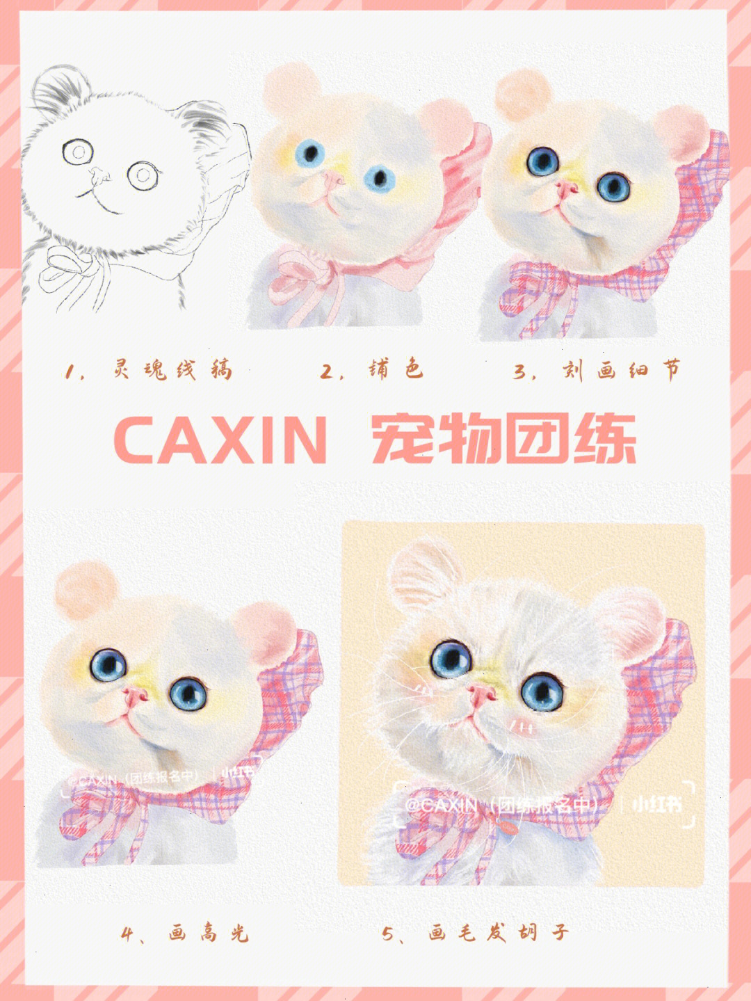 仙女猫怎么画图片