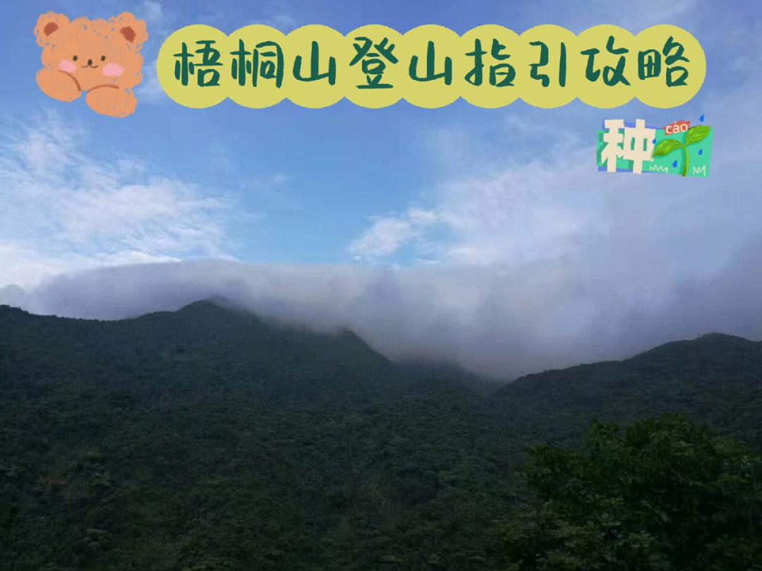 深圳梧桐山登山路线集合指引攻略