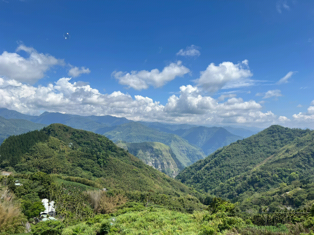 台湾阿里山