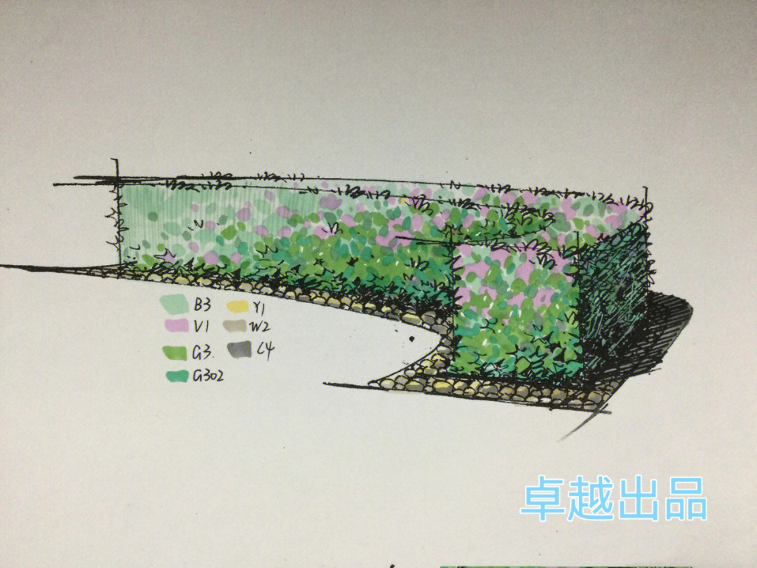 绿篱手绘线稿图片