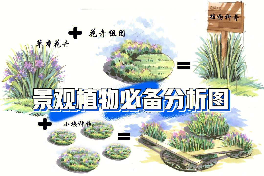 景观植物种植分析图图片