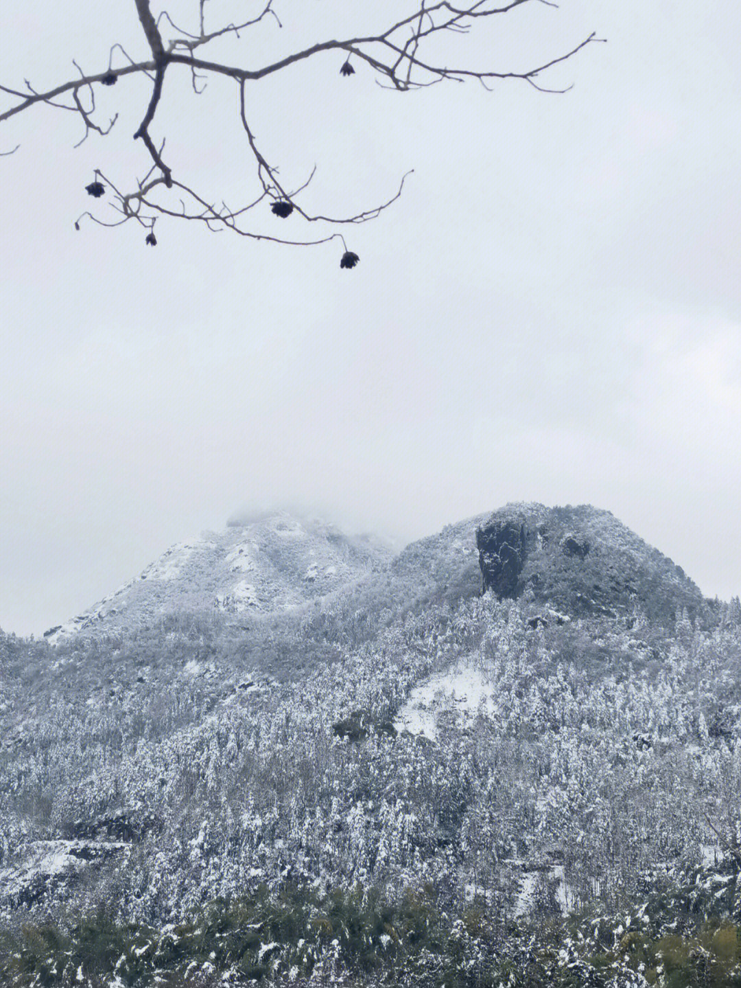 浦江美女峰雪景图片