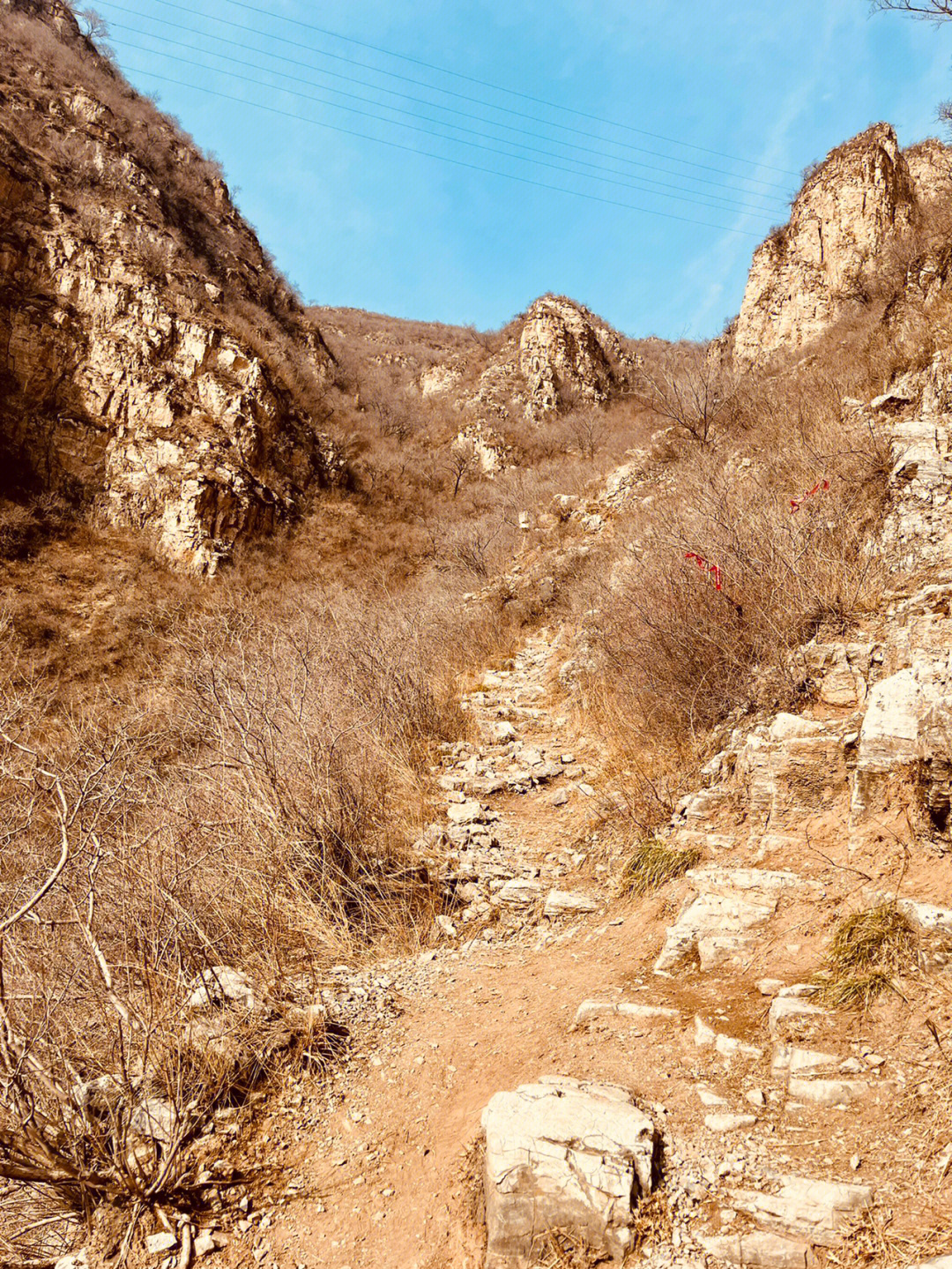 珠窝村游记图片