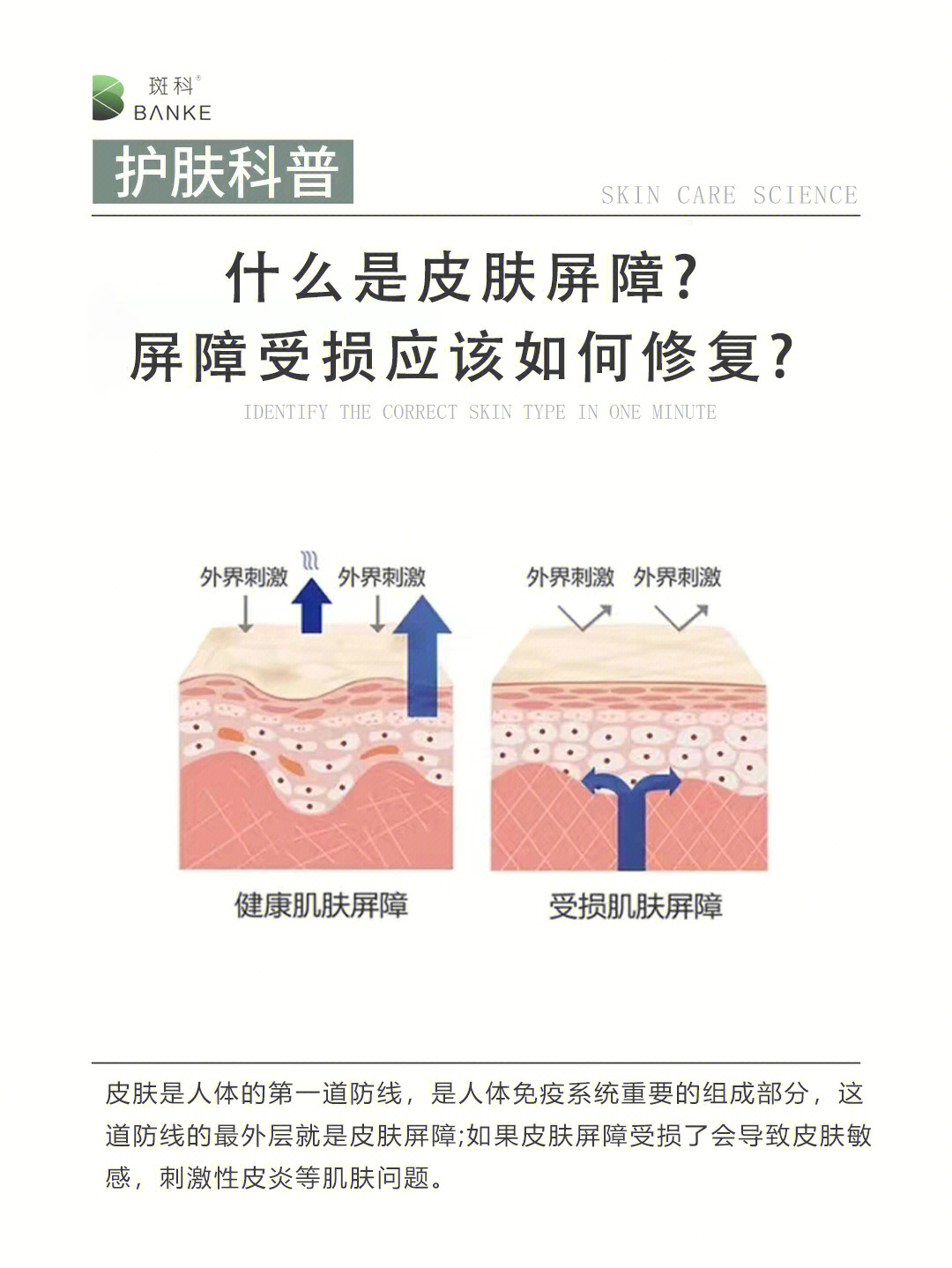 科普什么是皮肤屏障屏障受损如何修复