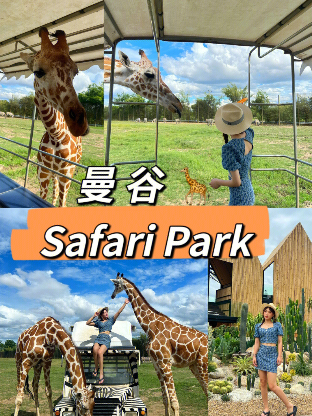 曼谷郊区北碧府野生动物园00safaripark