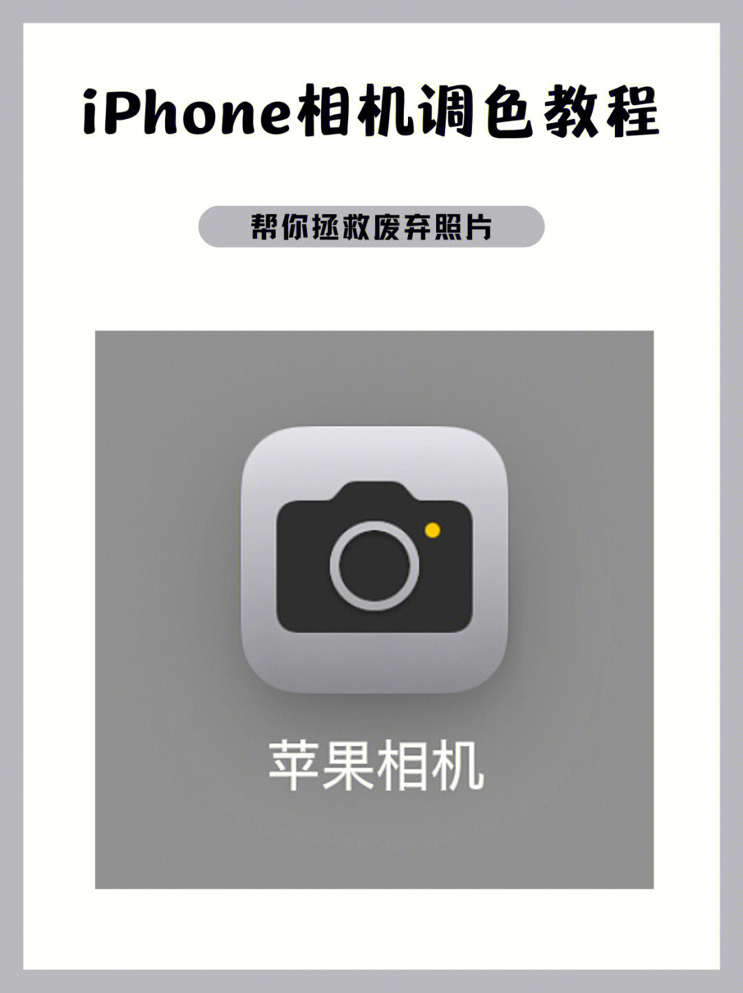 苹果手机相机图标图片图片