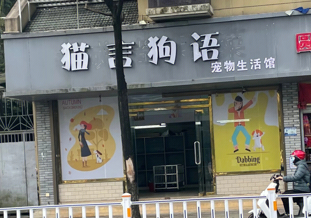 曝光温州专卖病狗的宠物店