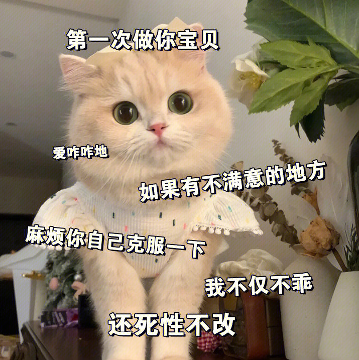 搞笑情侣文字猫咪表情包来啦