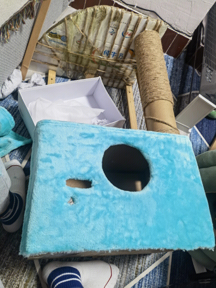 用纸箱给猫子做了个猫爬架加猫窝