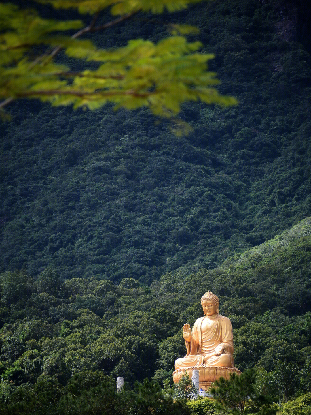 汕尾莲花山