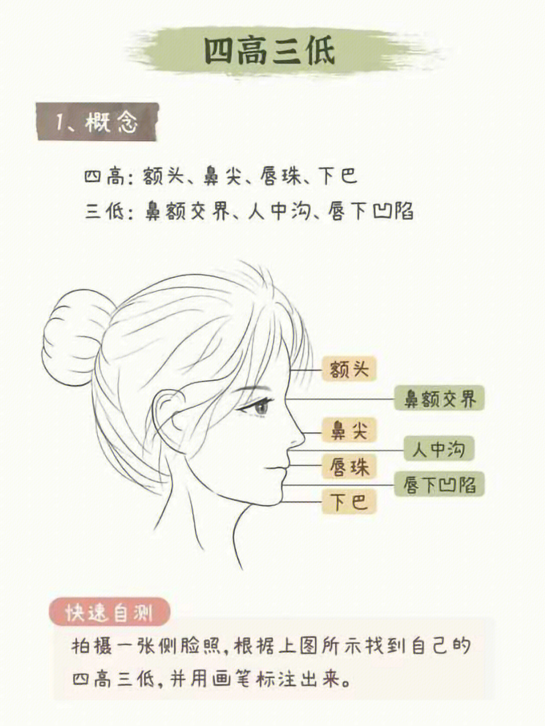 完美侧脸x光图图片