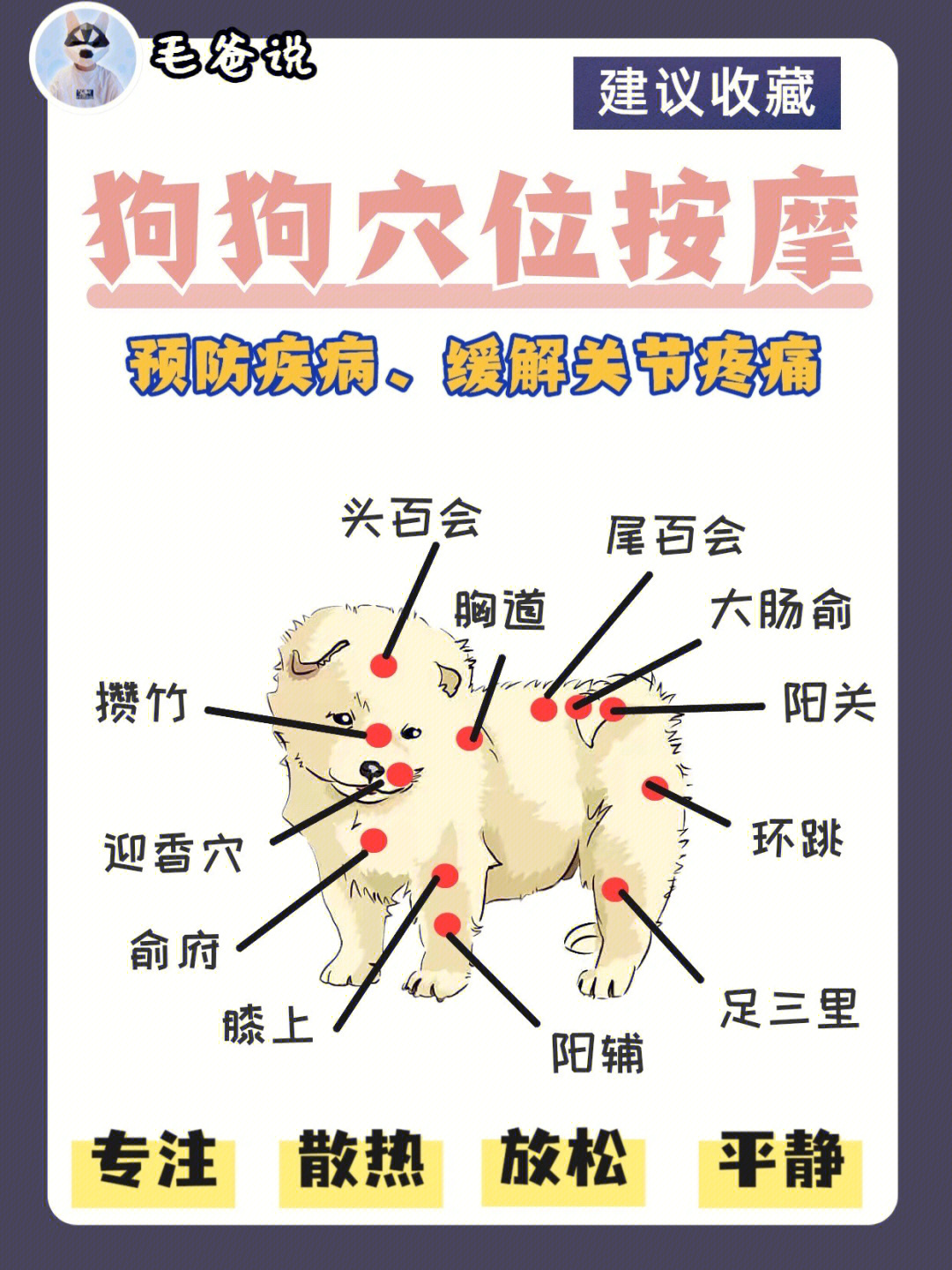 狗狗按摩教程图解图片