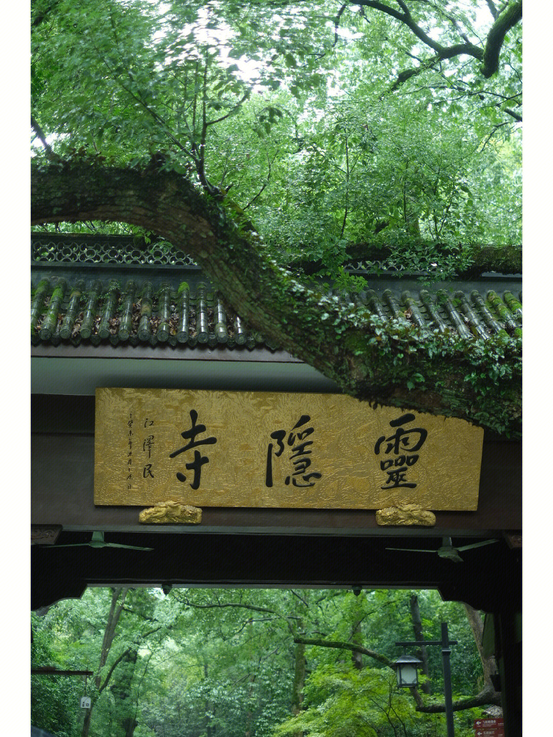 灵隐 福田花雨