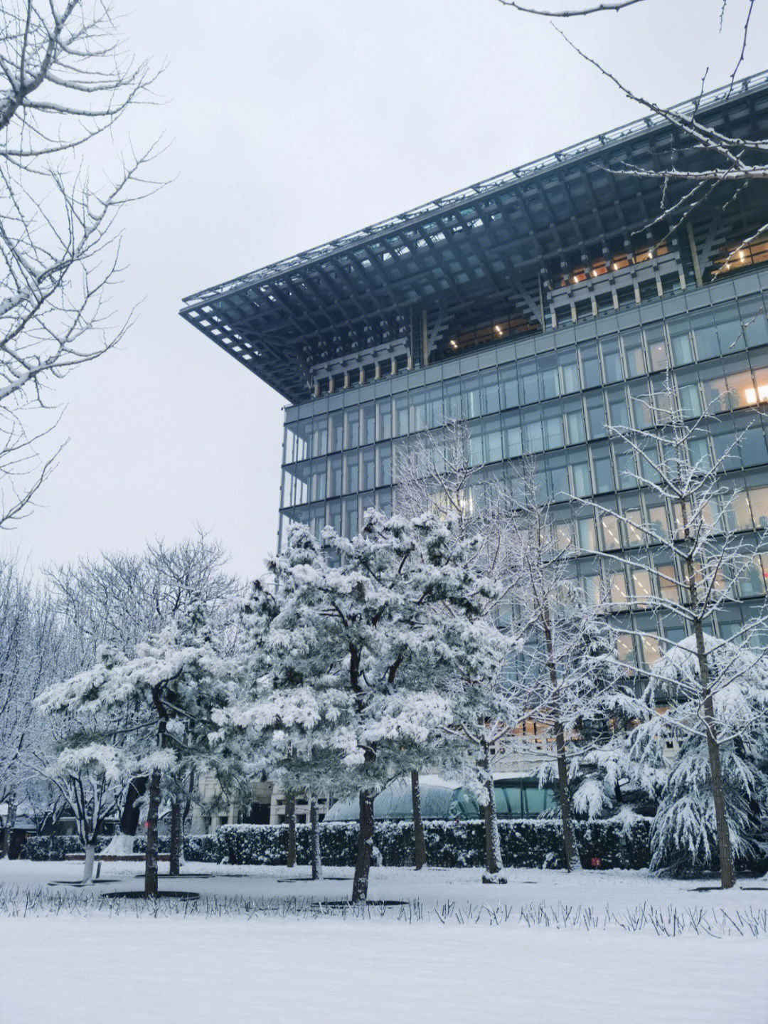 北京国贸下雪图片图片