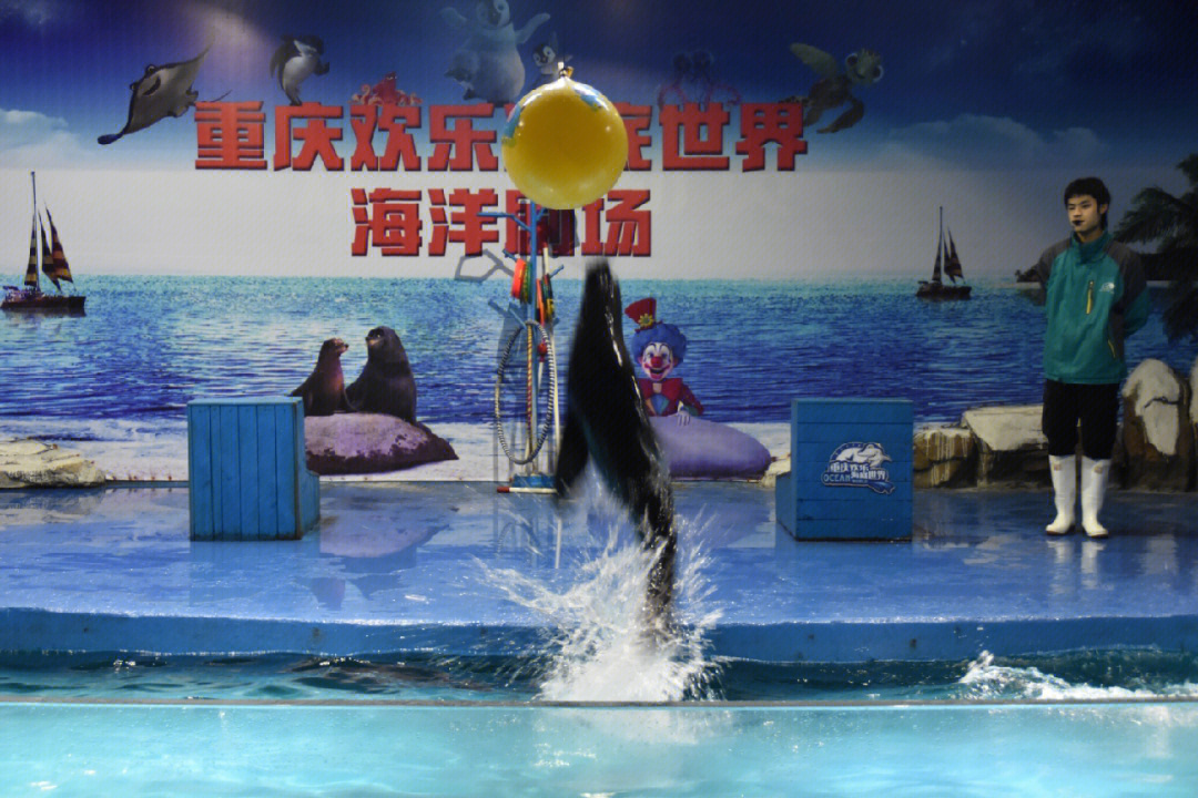 泸州欢乐海底世界门票图片