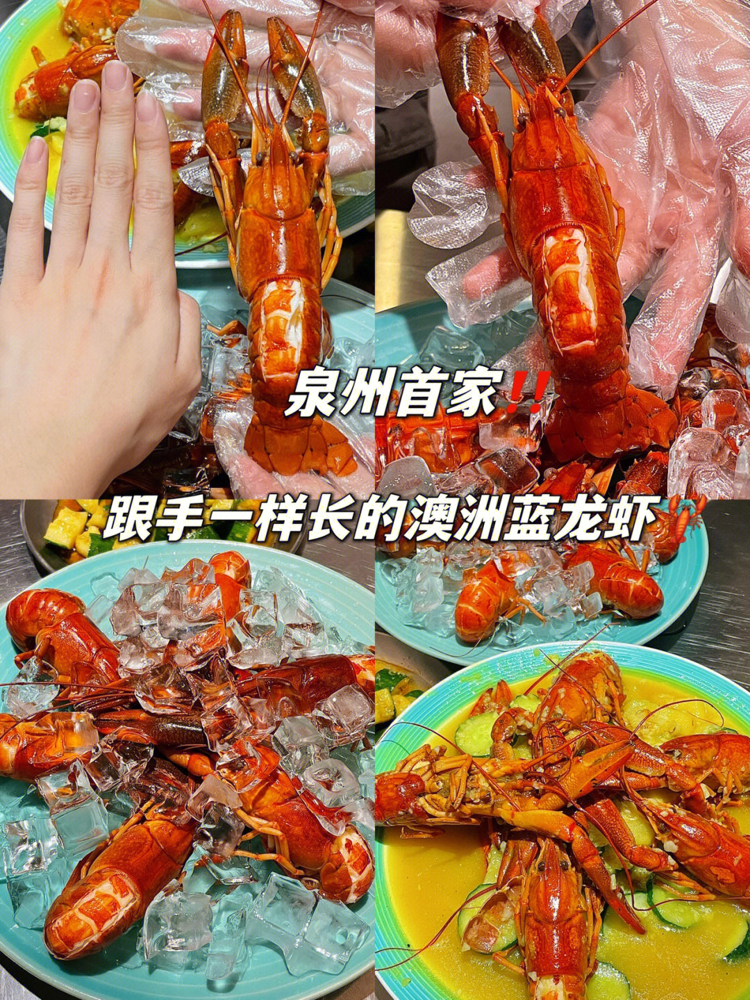 澳洲龙虾的做法图片