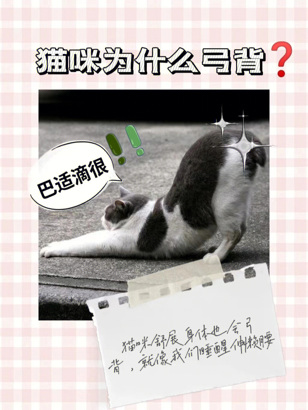 猫弓背卡通图片