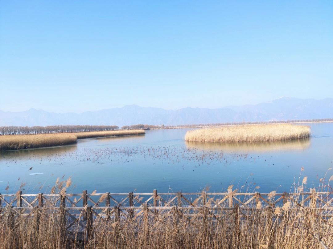 野鸭湖湿地公园是冬天的样子阿