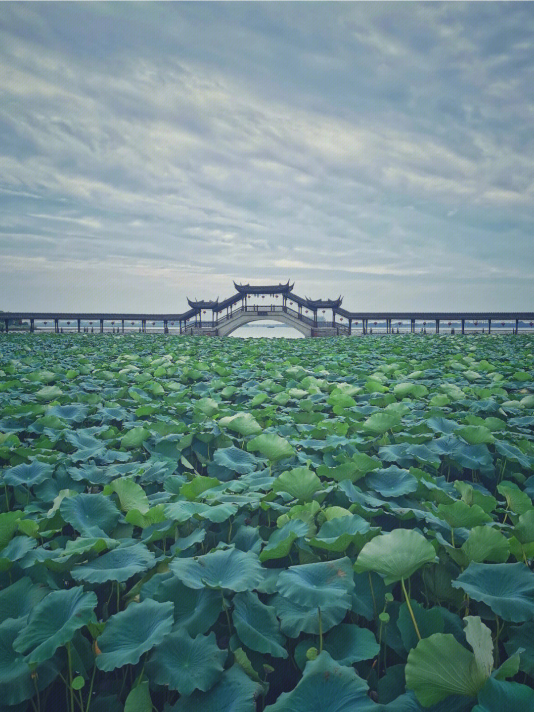 锦溪在哪里图片