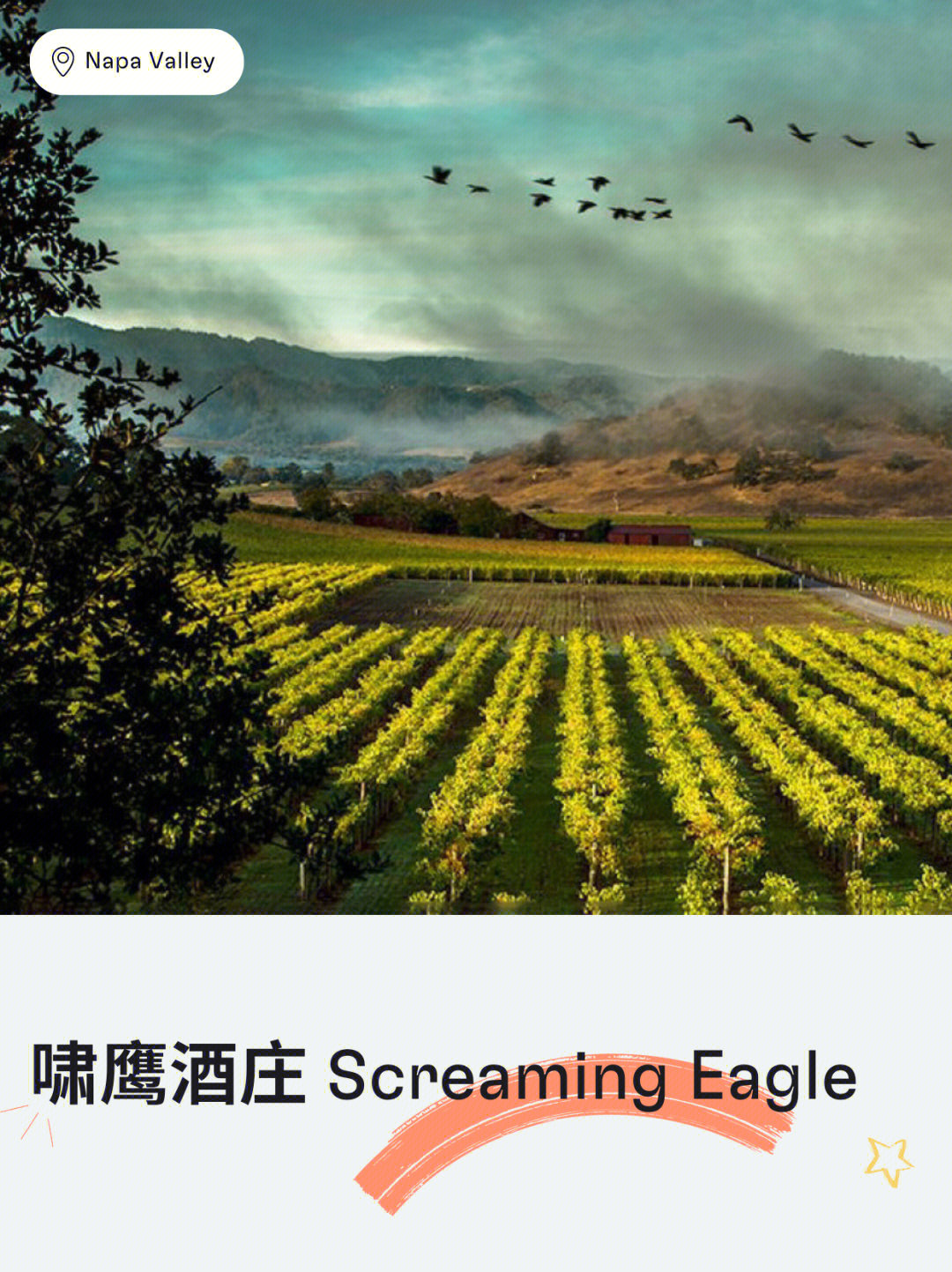 screamingeagle图片