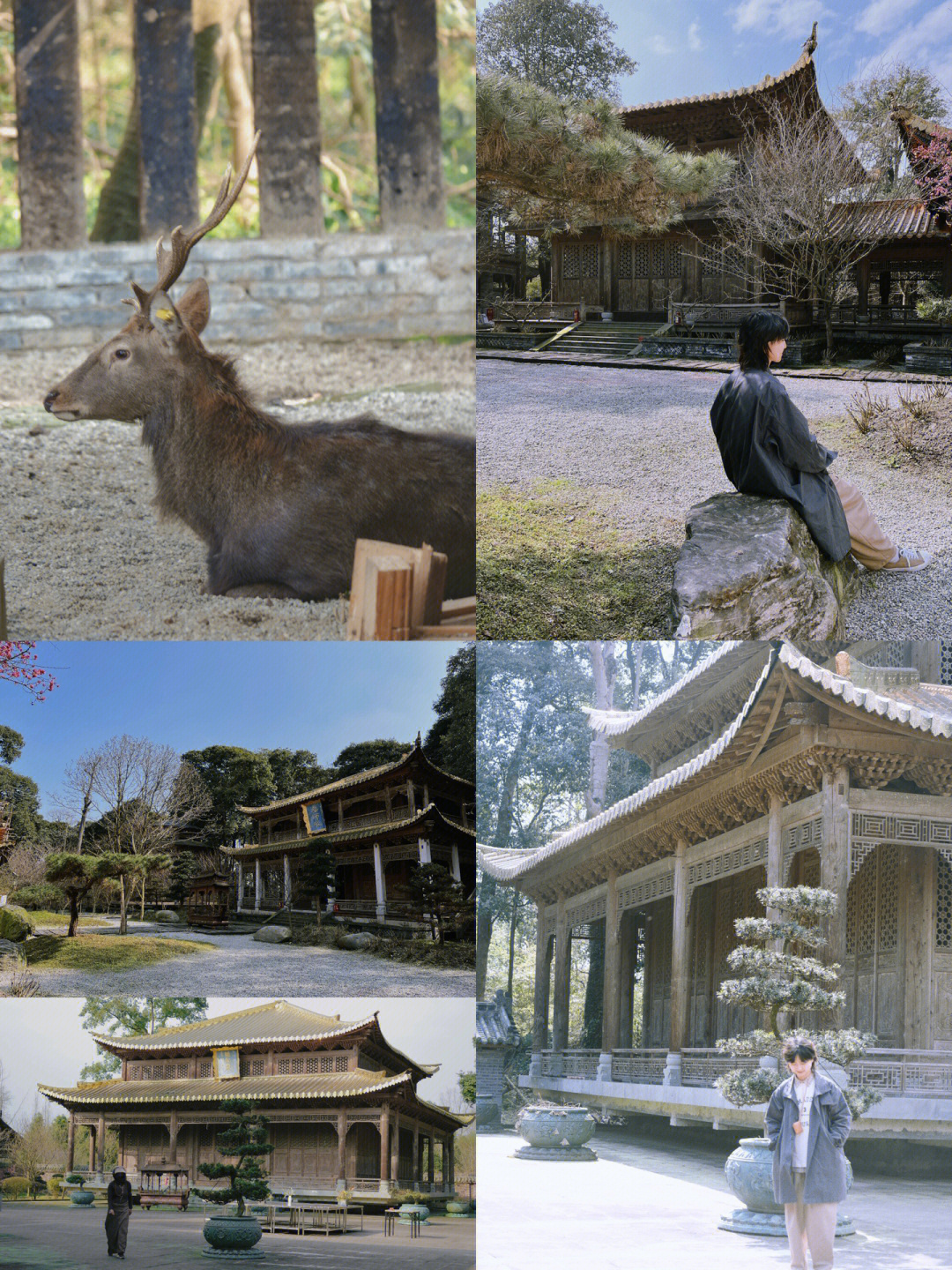 北京三圣寺净修大和尚图片