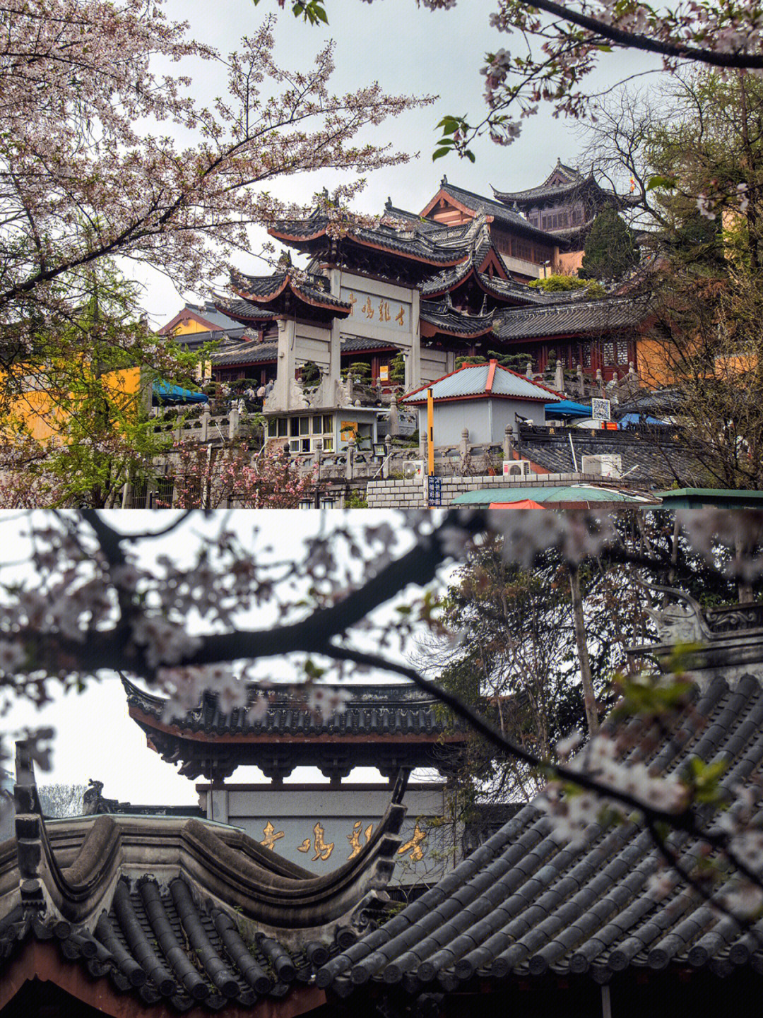 南京旅游打卡求姻缘赏樱好去处鸡鸣寺