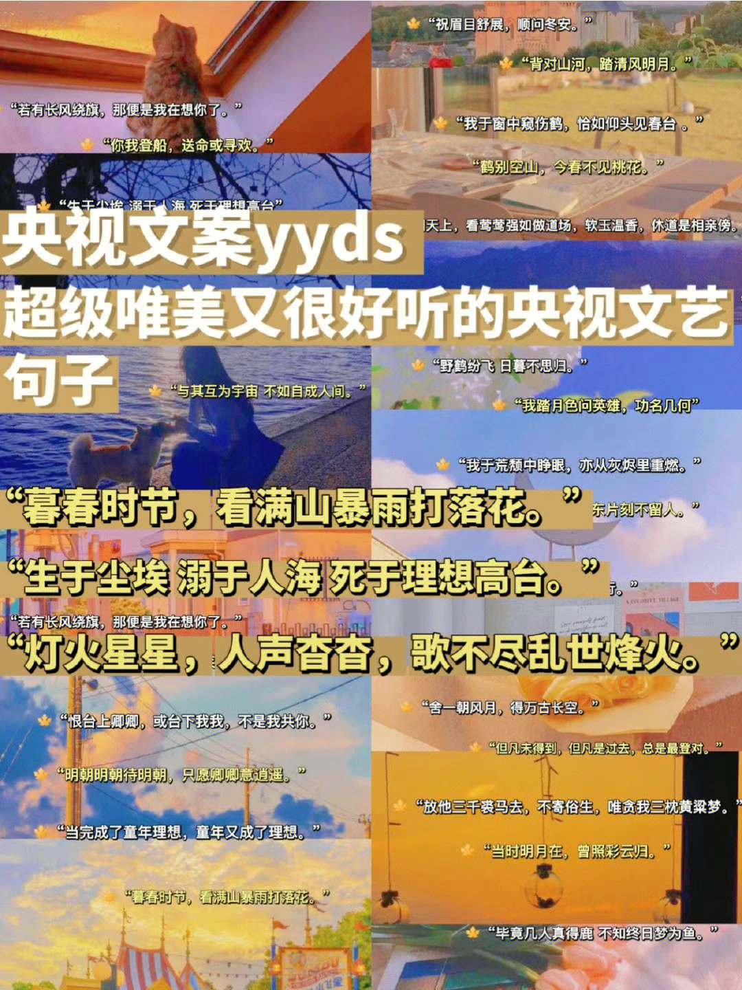 子木yyds文字图片图片